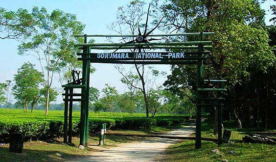 Entry Gate of Gorumara National Park